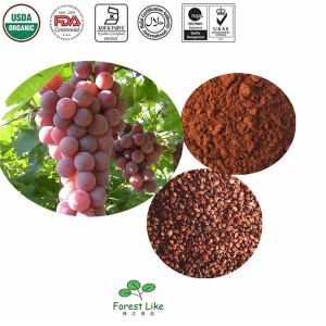 New Type,High Efficient and Delicated Grape Seed Extract