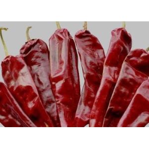 New Crop Premium Dried Guajillo Chili