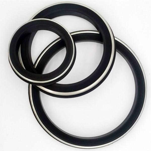 High Pressure 15000psi Hammer Union Seals with Stainless Steel Back-ups