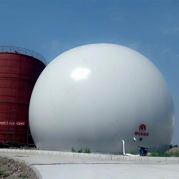 Buy Free Standing Double Membrane Biogas Balloon at wholesale prices