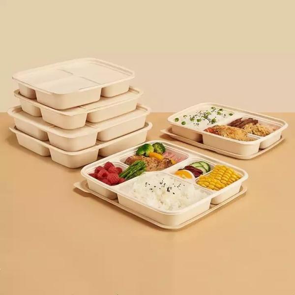 Buy Salad Bio Degradable Food Packaging With Custom Carton Package Microwavable at wholesale prices