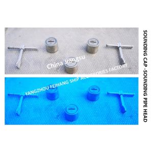 Stainless Steel 316L Elevated Sounding Pipe Head For Marine Ballast Tank Model: