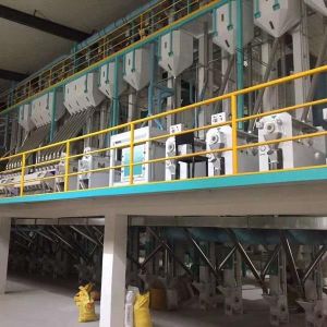100-120TPD Complete Sets Of Rice Milling Plant