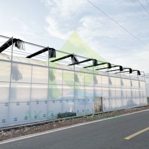 Poly Tunnel Greenhouse for Vegetables Stable Structure Easily Assembled