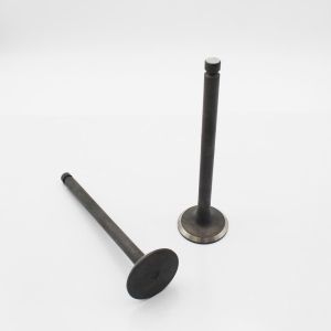 ME051063 Valve Inlet And Exhaust