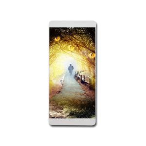 Lamp Post Outdoor Pole LED Display RGB Deep Gray Processing Remote Control