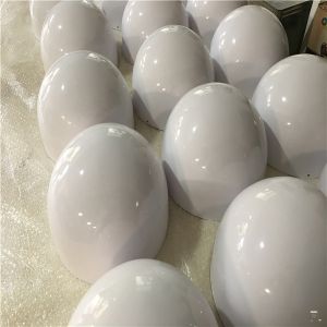 Custom Inquiry and IS16949 Project FRP Truck Body with Custom Colour Options