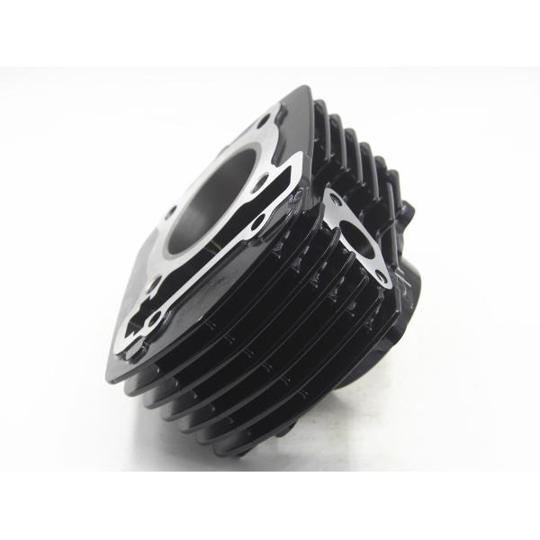 Motorcycle Engine Parts Durable 4 Stroke Single Cylinder Fz16 Replacement