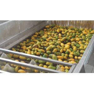 High Effective Small Scale Mango Processing Plant High Extracting Rate