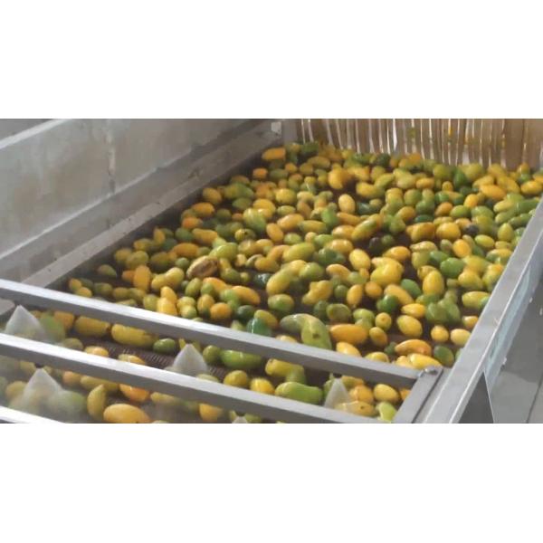 Buy High Effective Small Scale Mango Processing Plant  High Extracting Rate at wholesale prices