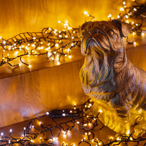 LED Strip Lights IP44 Waterproof 19.7FT Lifespan Dimmable Black Tape 4.3mm Lamp