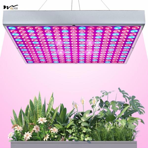 Buy Grow Light Room 75W LED Plant Growth Lamp 225 LEDs UV IR Red Blue Full Spectrum Bulb Panel at wholesale prices