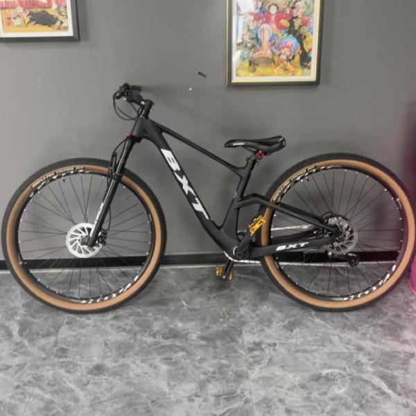 No Foldable Complete Mountain Bikes 11Speed 29er Disc Brake Carbon Fiber MTB Bike