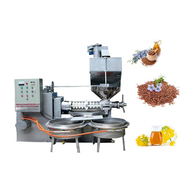 Buy High Oil Rate Screw Moringa Seed Oil Extraction Machine With Oil Cake Feeder at wholesale prices