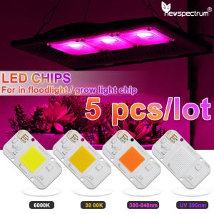 Solderless UV LED Module COB Cold White Light Beads For Floodlights