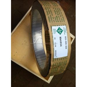 Needle roller bearing NA4864,NA4840, NA4822, NA4824, NA4838