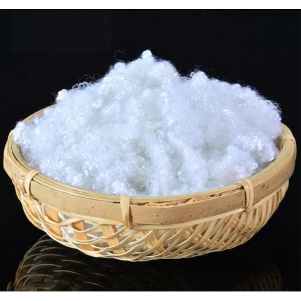 Buy 3D-11D Virgin Nylon Fiber Flat Cross-Section Semi-Dull at wholesale prices