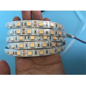 UL CE RoHS 5050 SMD LED Strip Light 10MM Width / Flexible LED Tape Light
