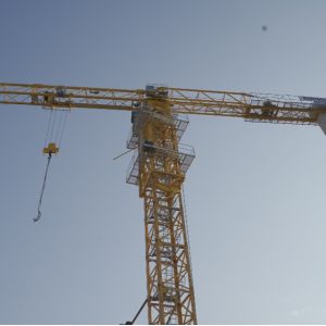 Construction Sites Telescopic Tower Crane QTZ40 QTZ63 QTZ80 China Famous Brand
