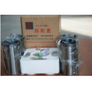 Laidong LL380,LL380B,KM385B,LL480B,KM485B,4L22B,KM496,KM4100 linner