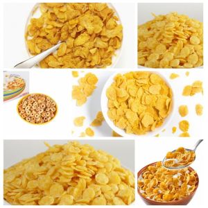 201SS Cereal Extruder Corn Flakes Manufacturing Machine Multifunctional