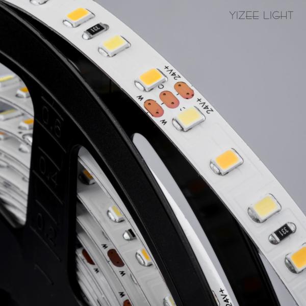 SMD 2835 CCT Tunable Flexible LED Strip 8mm 24V Dual White LED Strip Lights