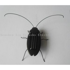 solar cockroach