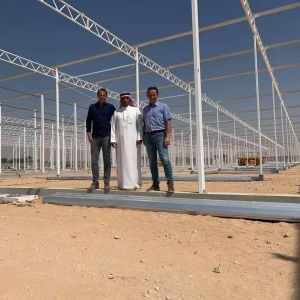 Vegetable Cultivation Soilless Culture Glass Greenhouse Multilayer Planting