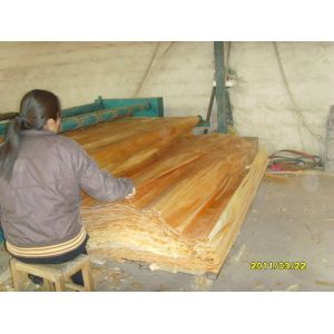 Furniture Birch Wood Veneer
