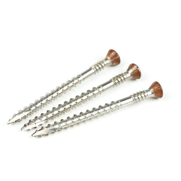Plain Finish Stainless Steel Countersunk Torx Head Double Thread Drywall Screw for Fixing