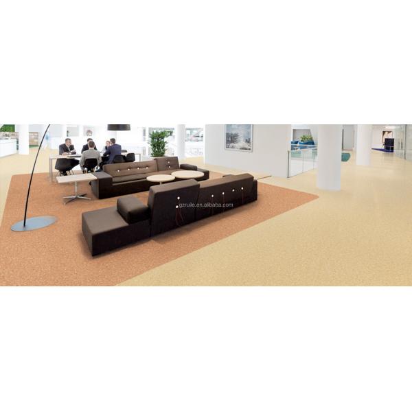 Office PVC Plastic Carpet Roll Anti Bacteria Relle Flooring Green Red Blue