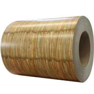 Quality Conventional Brick Types Pre Painted Steel Coils with Custom Patterns for Decoration Household applicance for sale