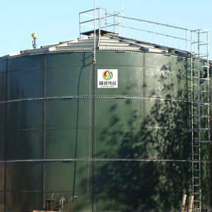 Domestic Biogas Anaerobic Tank Wastewater Treatment Bio Gas Plant Project