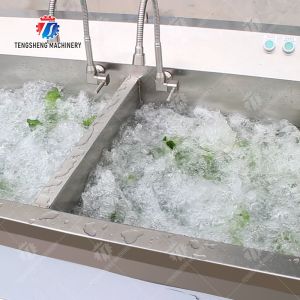 Fruit Orange Leaves Vegetables sward beans Herbs Fruiting vegetables Wash Washer