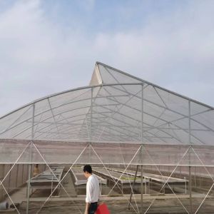 200micron Single Span Greenhouse Agricultural Tropical Climate Greenhouse