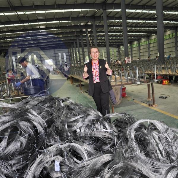 Inconspicuous Obstacle Fence Security Barrier MZP Tangle Barely Noticeable