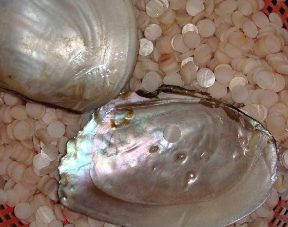 Factory wholesale high quality akoya 2 holes round natural agoya shell button for shirt dress