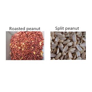 Commercial 304 Stainless Steel Split Peanut Blanching Machine