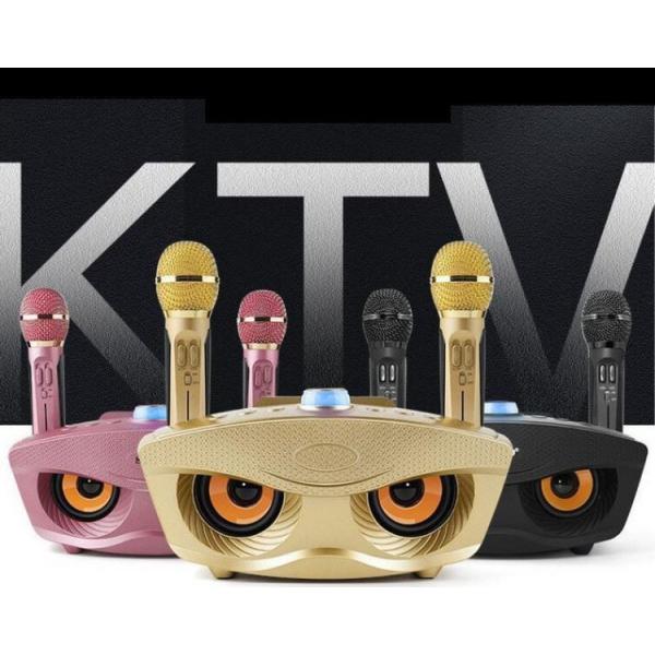 30W Family Karaoke Multifunctional Wireless Speak With Mic Recorder