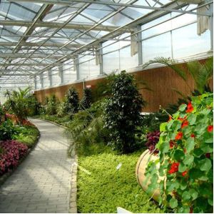 Waterproof Aluminium Roof Windows