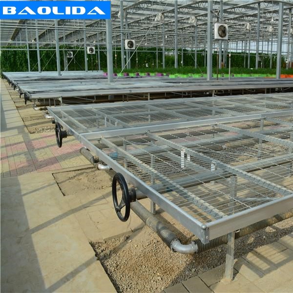 Buy Galvanized Greenhouse Rolling Benches / Greenhouse Benches And Tables at wholesale prices