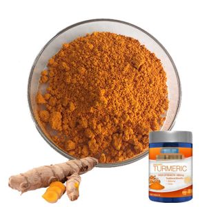 ISO 98% Curcumin Extract Powder Antibacterial Turmeric Root Extract Antioxidant