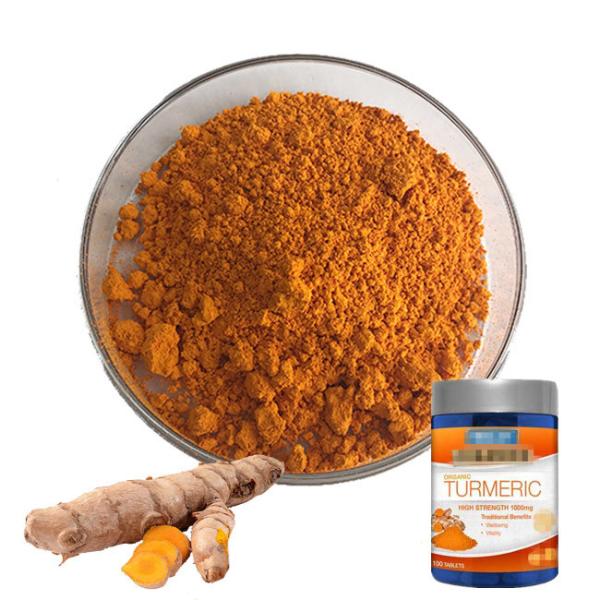 Buy ISO 98% Curcumin Extract Powder Antibacterial Turmeric Root Extract Antioxidant at wholesale prices