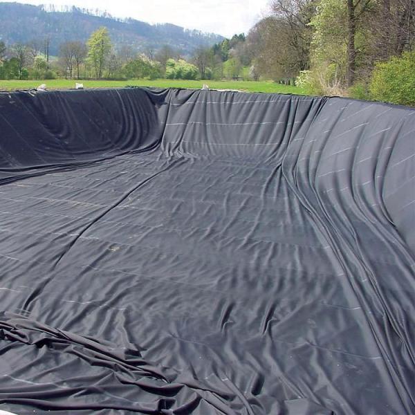 Aquaculture Fish Farm Waterproof Geomembrane Pond Liner HDPE High Density for