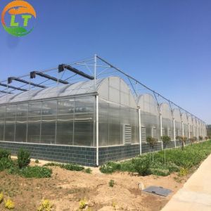Commercial Greenhouse Hydroponic Planting System for Industrial Needs
