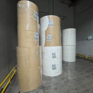 Greaseproof and Water Resistant PE Coated Paper Roll for Frozen Food Packaging