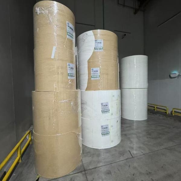 Greaseproof and Water Resistant PE Coated Paper Roll for Frozen Food Packaging