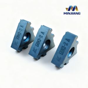 Precision Machining High-Speed Tungsten Carbide Insert with Customization
