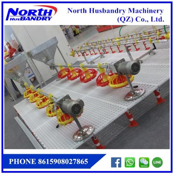 Buy Automatic poultry farm equipment for chicken raising at wholesale prices