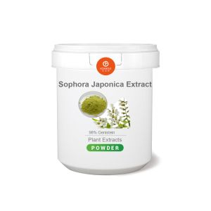 Sophora Japonica Extract Powder With 2 Years Shelf Life